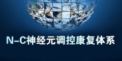 N-C神经元调控康复体系